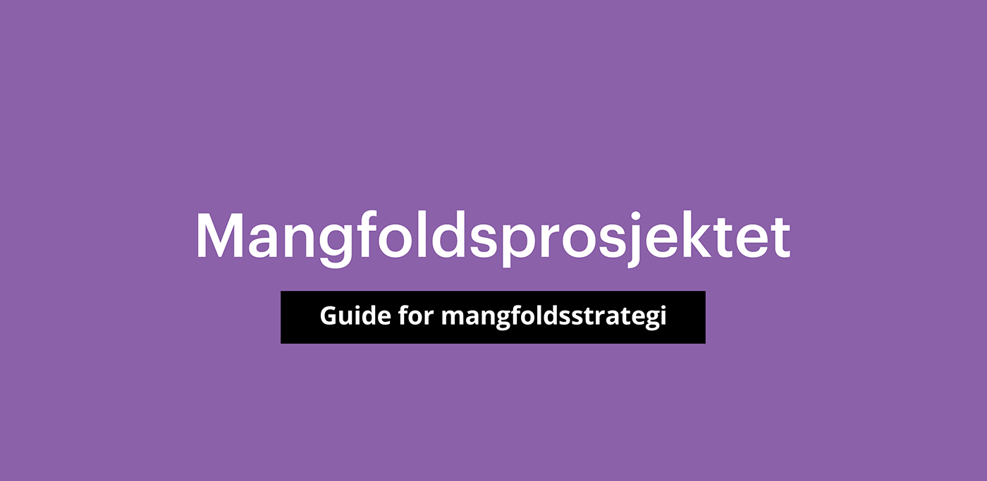 Mangfoldsprosjektet_lilla_Guide_Mangfoldsstrategi_1400x683
